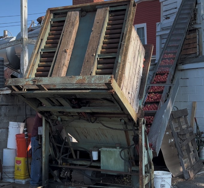 Dump apples from bins